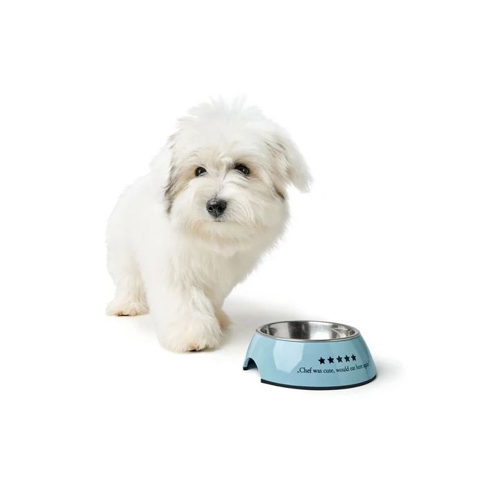 Ταΐστρα Σκύλων Hunter Mayfair Μπλε 160 ml