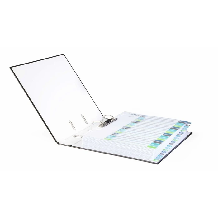 DURABLE Register A4+ 20-part (1–20) with coloured tabs and transparent PP front cover