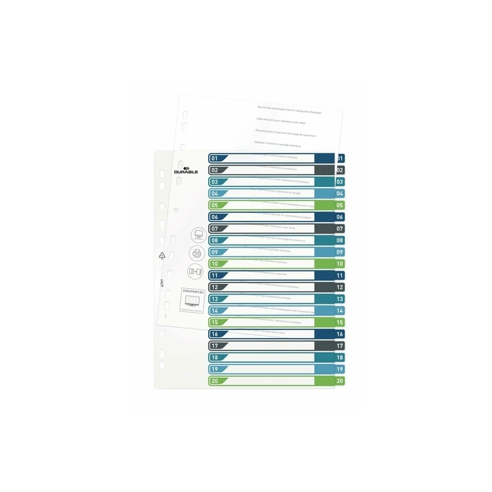 DURABLE Register A4+ 20-part (1–20) with coloured tabs and transparent PP front cover