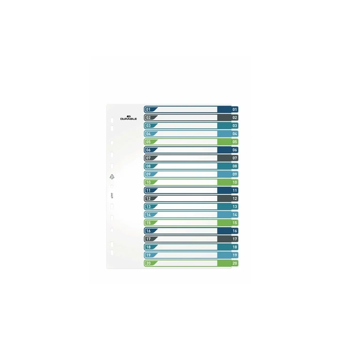 DURABLE Register A4+ 20-part (1–20) with coloured tabs and transparent PP front cover