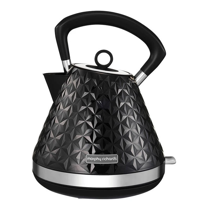 Βραστήρας Morphy Richards 108131 (Black)