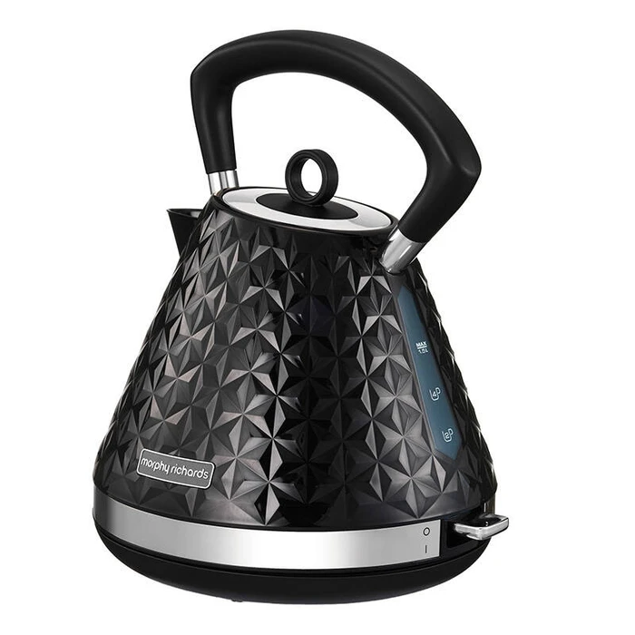 Βραστήρας Morphy Richards 108131 (Black)