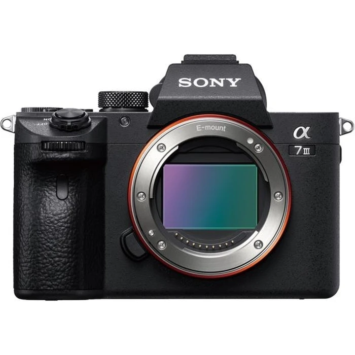 Sony Alpha ILCE-7 Mark III with Sony SEL 28-70mm f/3.5-5.6 OSS II lens
