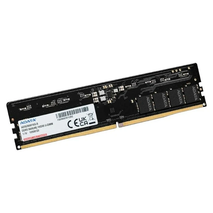 Μνήμη RAM Σταθερού 16GB Adata AD5U560016G-S DDR5 5600 MHz