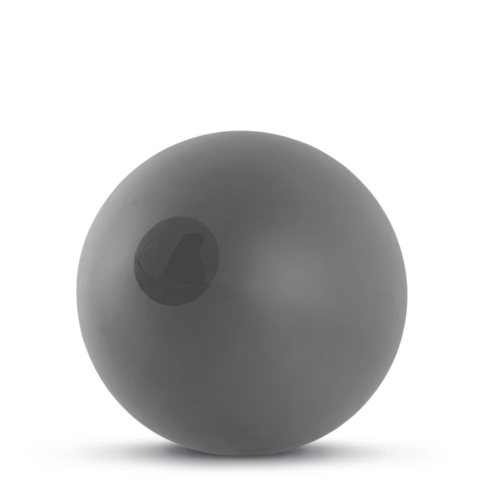 AMILA Power Pilates Ball 24 cm Dark Grey (300 g)