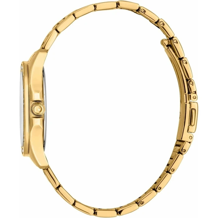 Γυναικείο Ρολόι Just Cavalli JC1L263M0055