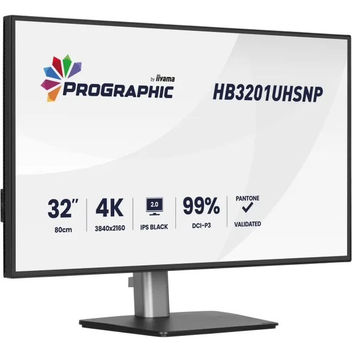 iiyama ProGraphic HB3201UHSNP-B1 - 31.5" IPS 4K USB-C (96W) Monitor