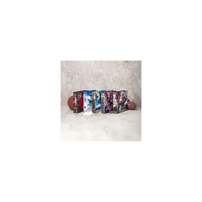HERMA A4 Ring Binder (Motif: American Football)