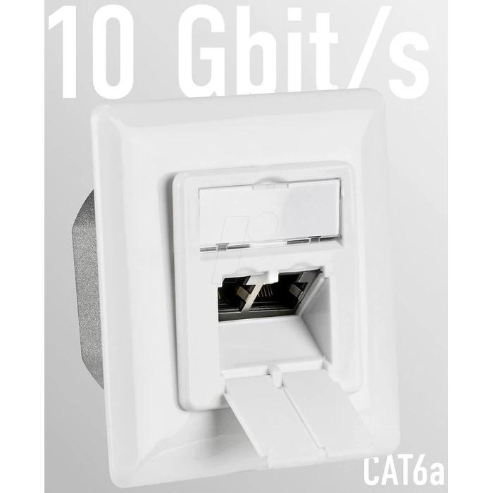 Πρίζα Δικτύου EFB socket CAT6a flush-mounted 2--fold RJ45,