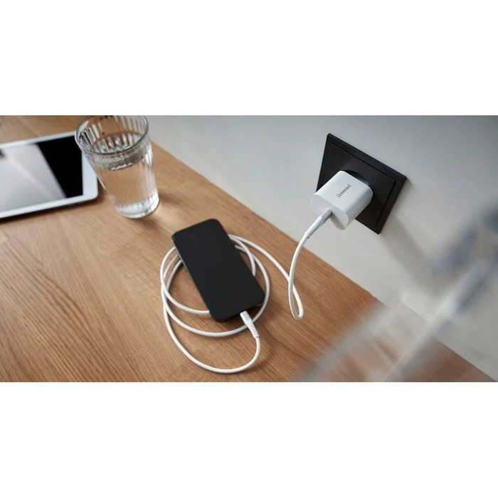 Φορτιστής Πρίζας Intenso W20C white 1x USB-C 20W