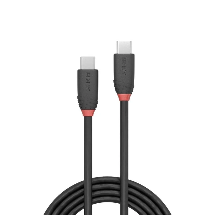 Καλώδιο USB Lindy Black Line 24 pin USB-C to 24 pin USB-C - 1.5 m