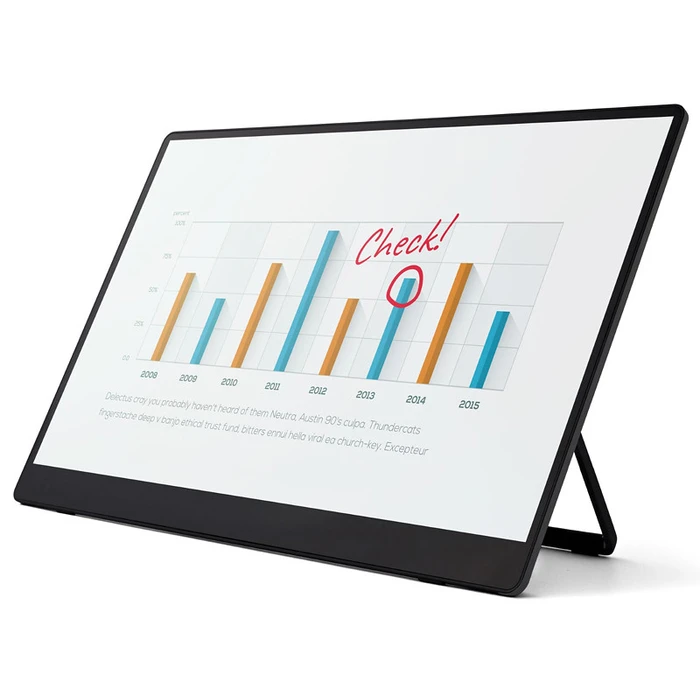 Monitor Ricoh PORTABLE Monitor 150BW