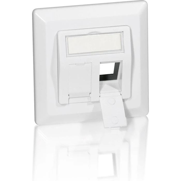 Πρίζα Δικτύου Equip +Frontplatte 2 Keystone 45° RAL 9010 polybag