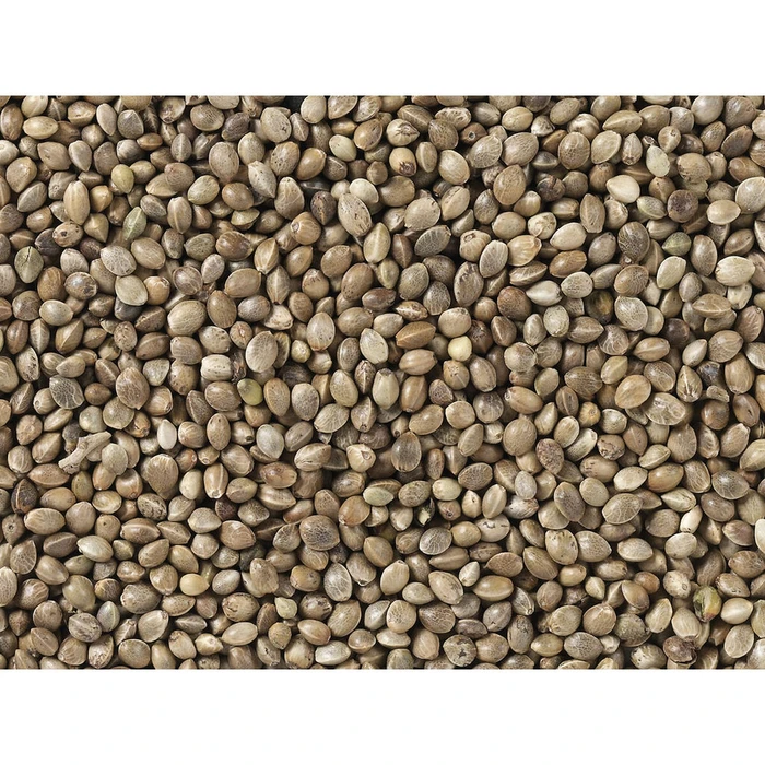 Ταΐστρα για πτηνά Deli Nature Premium