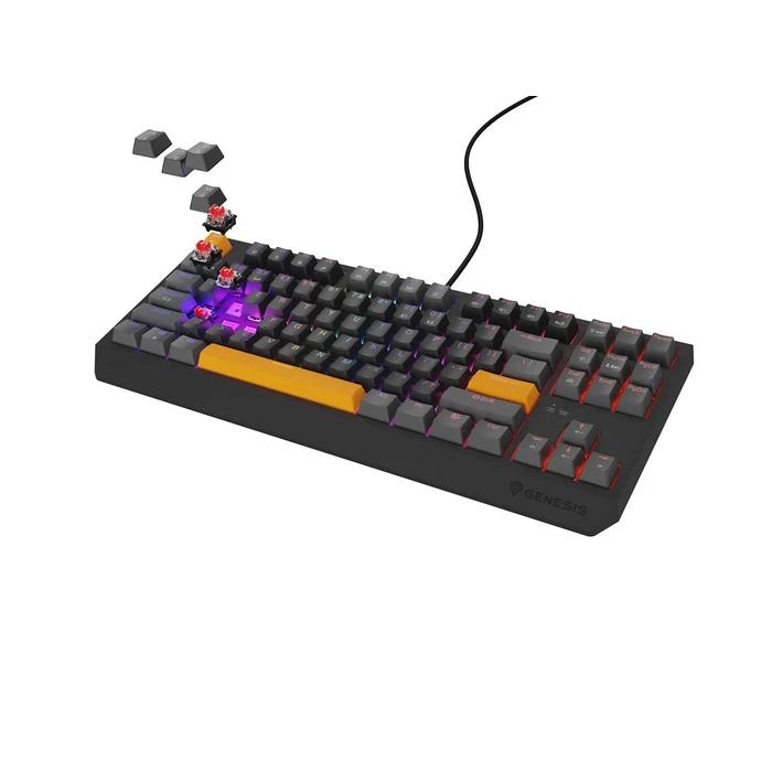 Gaming Πληκτρολόγιο Genesis Thor 230 TKL Anchor Gray Negative RGB Outemu Red