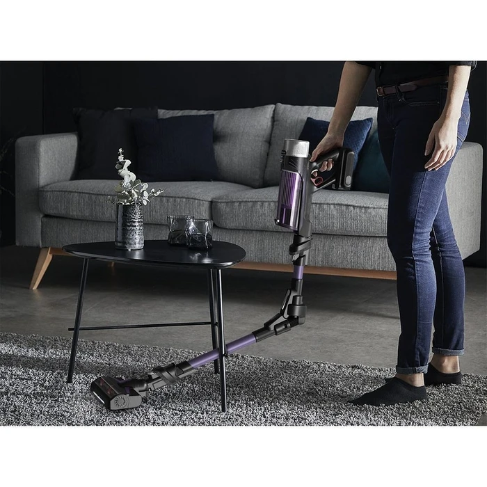 Σκούπα Stick Rowenta RH2039