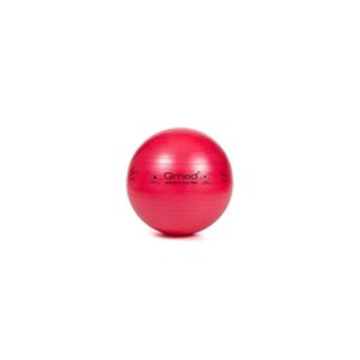 Μπάλα Γυμναστικής MDH ABS rehabilitation ball with pump 55cm
