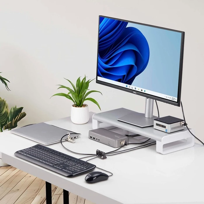 Κλειδαριά Laptop StarTech Peripheral Cable Anchor