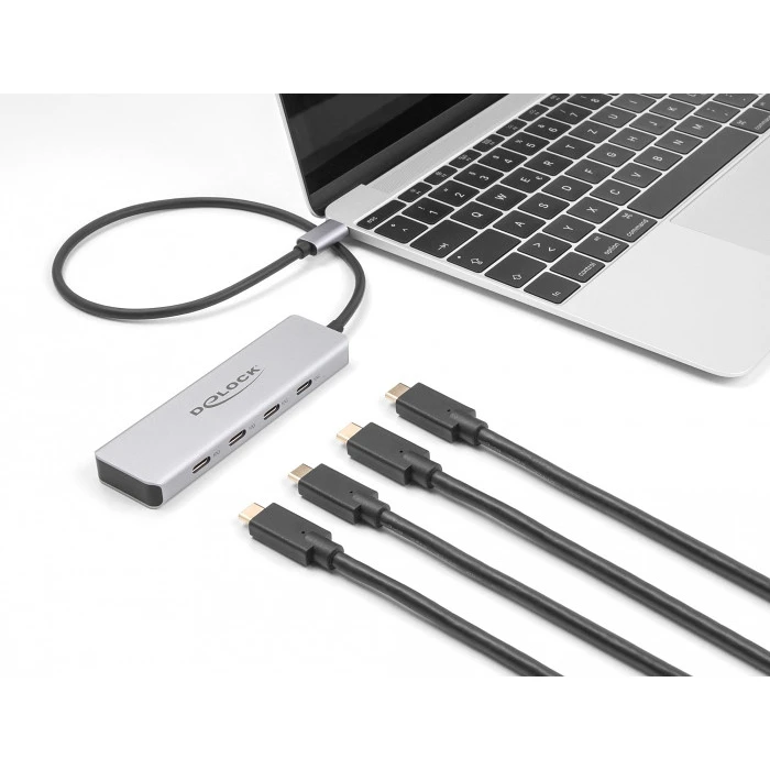 USB Hub Delock USB 10 Gbps Type-C with 4x Type-C