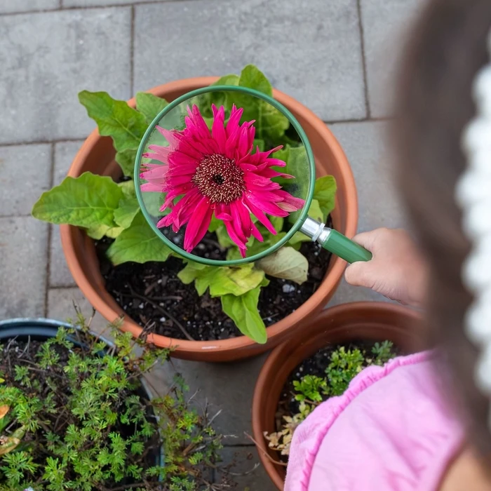 Μεγεθυντικός Φακός Carson HU-20 Lupe 5 Big Eye