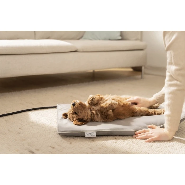 Χαλάκι Σκύλου Beurer PP 210 Lilli Heat Mat