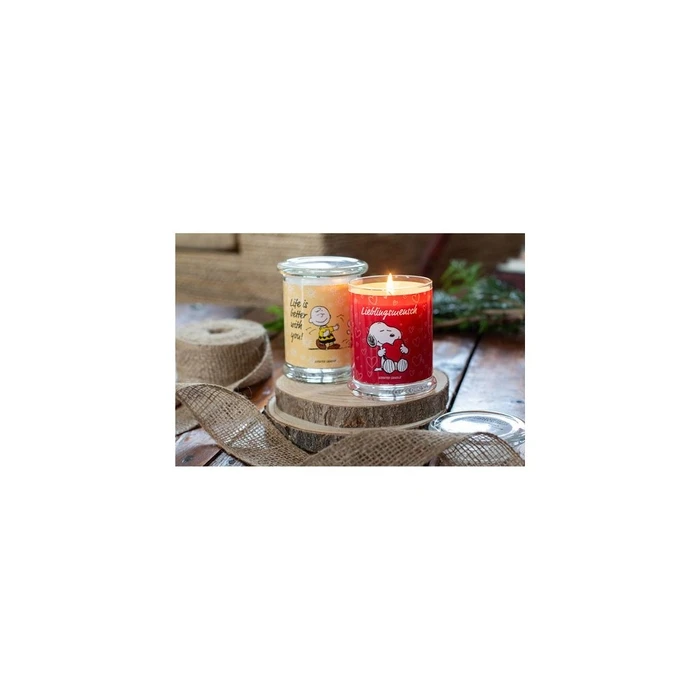 Κερί Penauts Αρωματικό Life is better with you - 250g