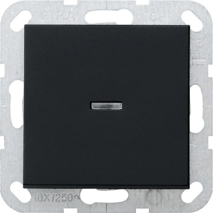Πλαίσιο Διακόπτη GIRA 0290005 rocker control. System 55 Black