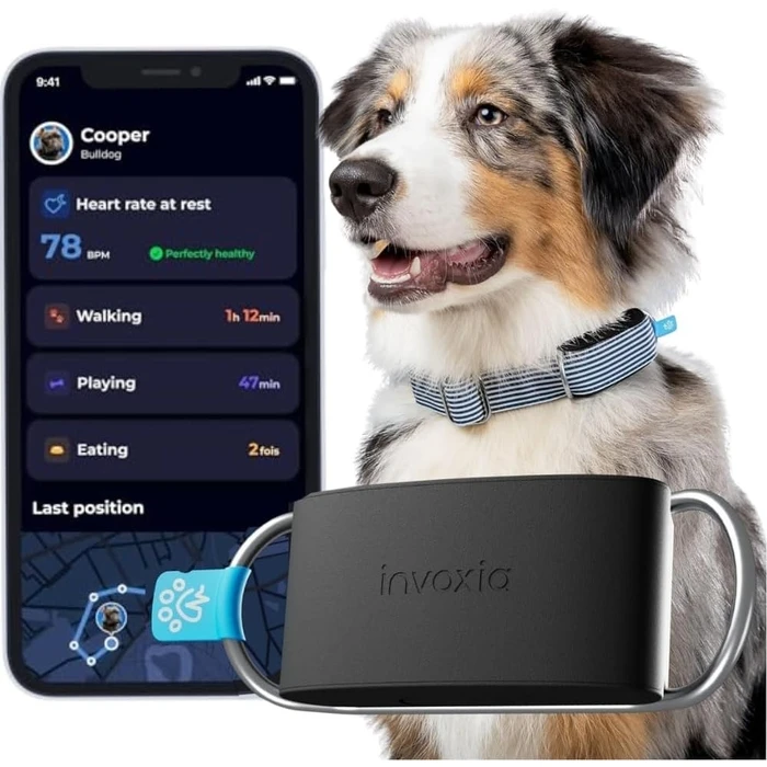 INVOXIA MINI TAILZ Heart Monitor LWT6 (with 1 Year Subscription)
