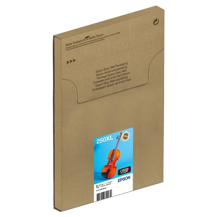 Epson Μελάνι 250XL Multipack EasyMail (C13T16P84510)
