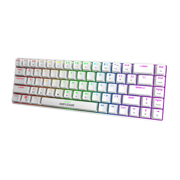 Fifine GK1W Gaming Mechanical Keyboard 65% with RGB Lighting (US English) White