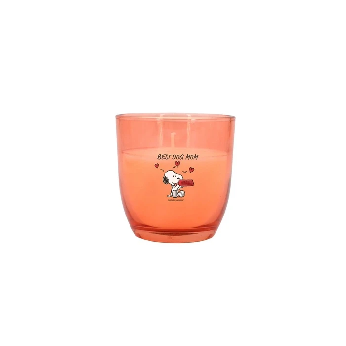Peanuts Εκθετήριο Πάγκου Κεριών 25 × 100 g (Peanuts Thekendisplay)
