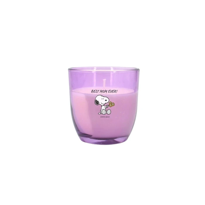 Peanuts Εκθετήριο Πάγκου Κεριών 25 × 100 g (Peanuts Thekendisplay)