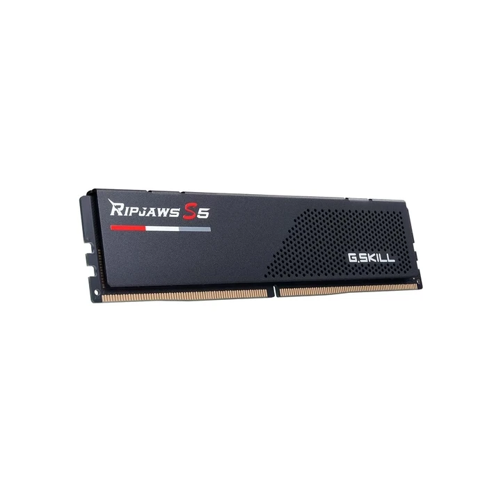 G.Skill Ripjaws S5 XMP DDR5 Module 1x16GB 6000 MT/s (F5-6000J3636F16GX1-RS5K)
