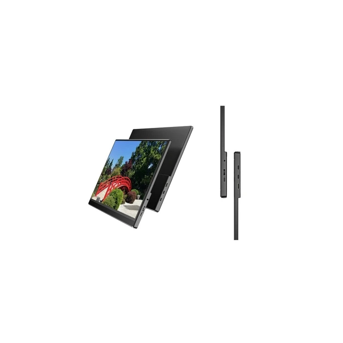 JAPANNEXT 40,6cm JN-MD-i156F-T-LE φορητή οθόνη αφής FHD (mHDMI / USB-C)