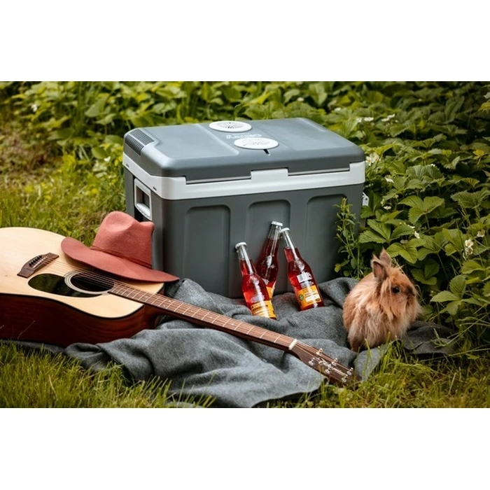 Camry CR 8061 Portable Electric Cooler 45 L - Grey