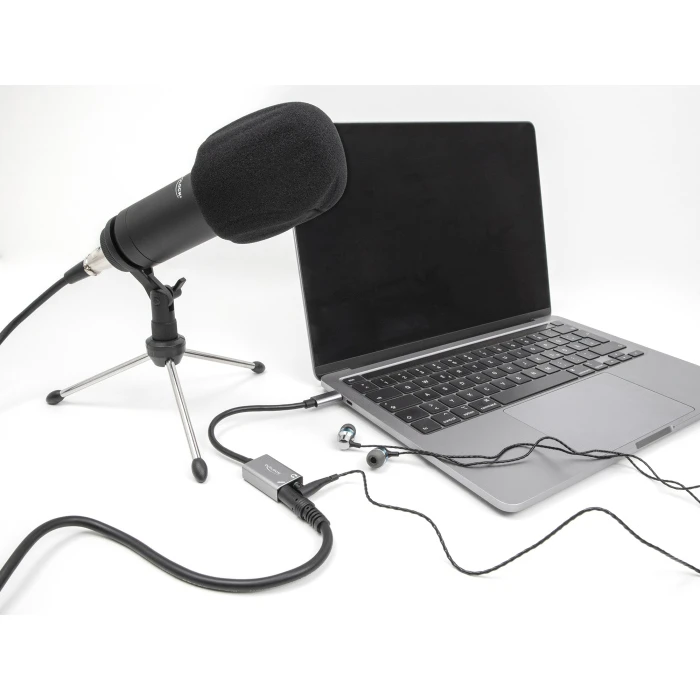 Εξωτερική Κάρτα Ήχου Delock 67071, 2X 3.5Mm, USB-C Σύνδεση, Γκρι