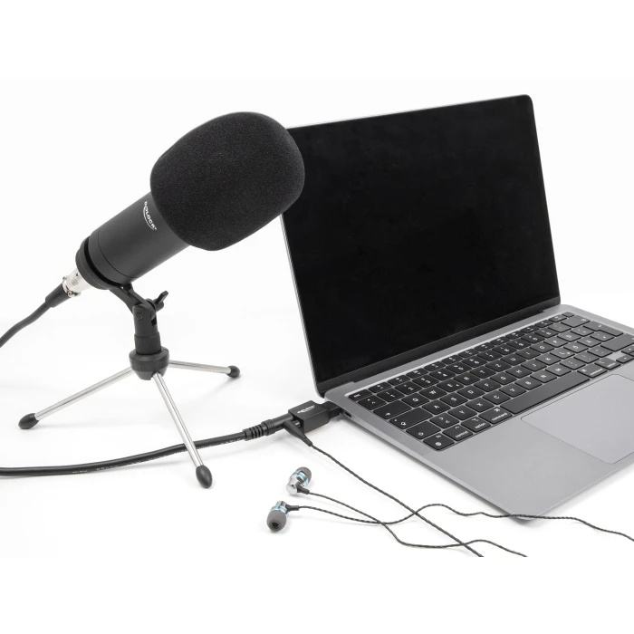 Εξωτερική Κάρτα Ήχου Delock 67128, 2X 3.5Mm, USB-C Σύνδεση, Μαύρη