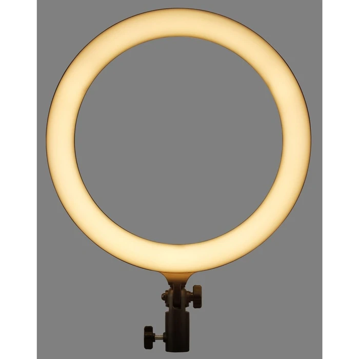 Godox LR120B Δακτύλιος LED 30 cm (12") Διπλού Χρώματος 3000-6000K CRI90+ 222 LED USB