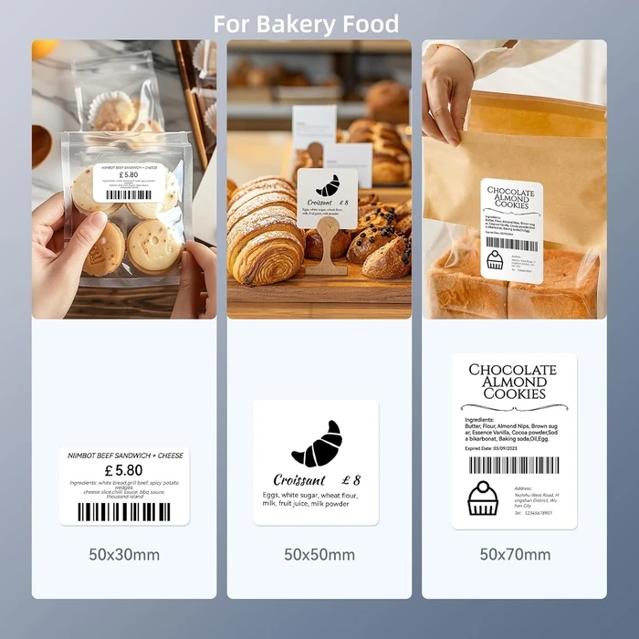 Ετικετογράφος Niimbot B1 2-INCH SILVER