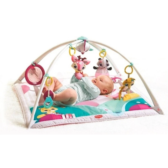 Tiny Love Tiny Princess Tales Baby Activity Gym