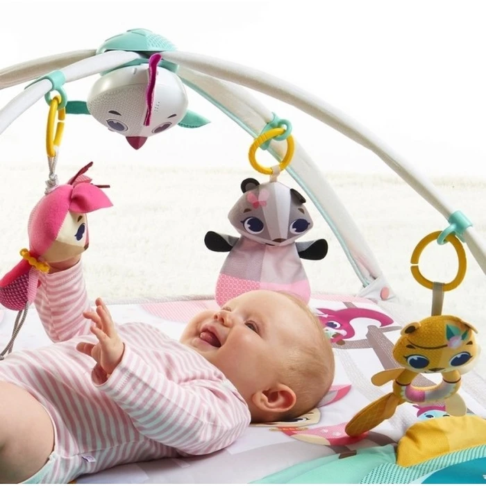 Tiny Love Tiny Princess Tales Baby Activity Gym