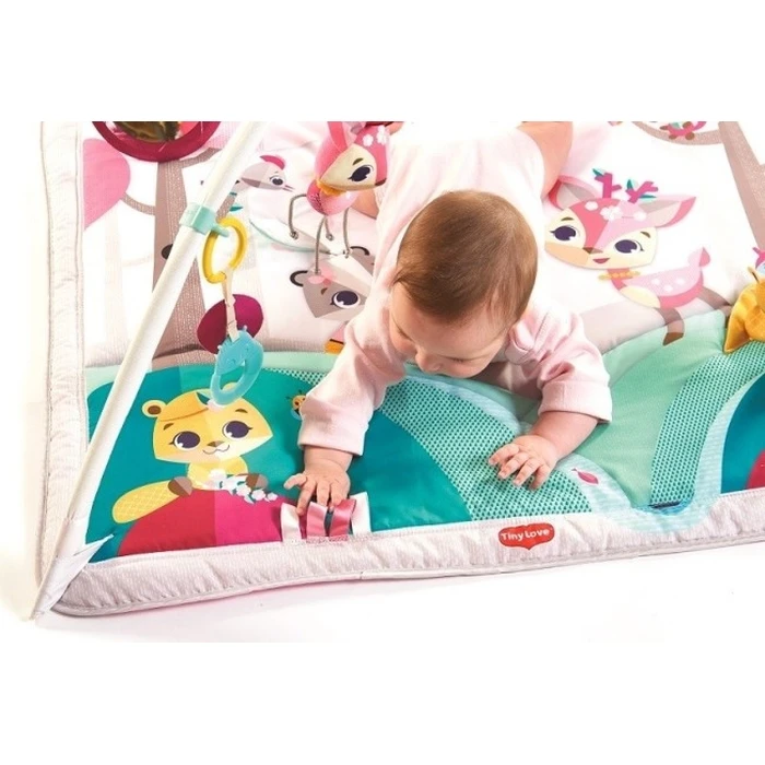 Tiny Love Tiny Princess Tales Baby Activity Gym