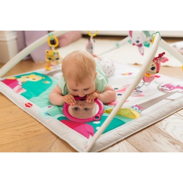 Tiny Love Tiny Princess Tales Baby Activity Gym