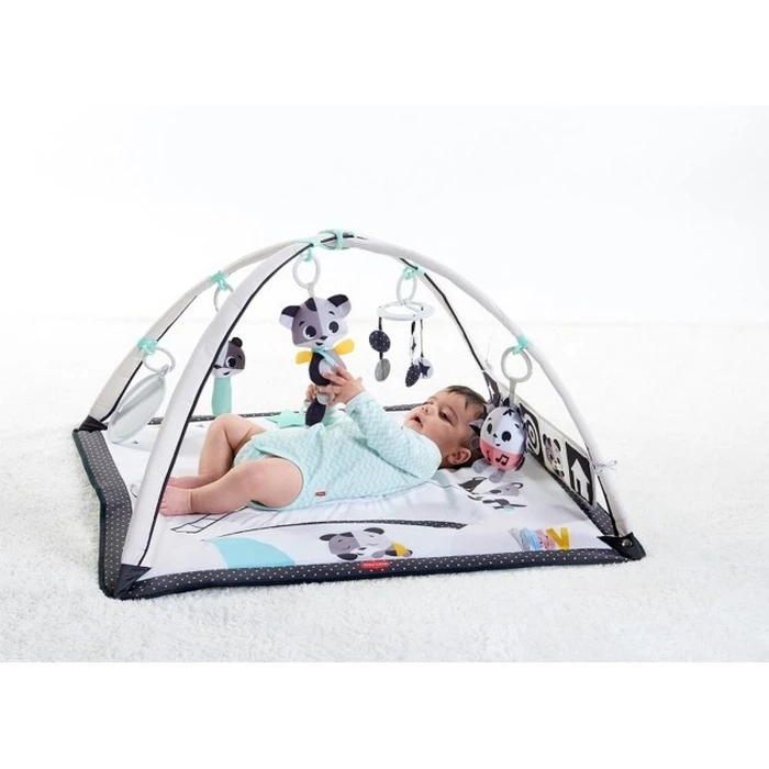 Tiny Love Activity Gym - Black & White (TL1205906830R)