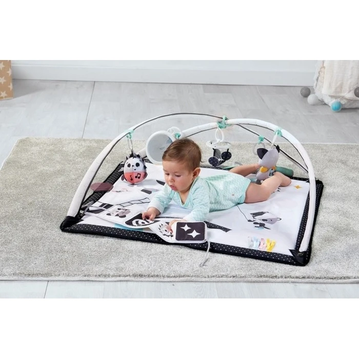 Tiny Love Activity Gym - Black & White (TL1205906830R)