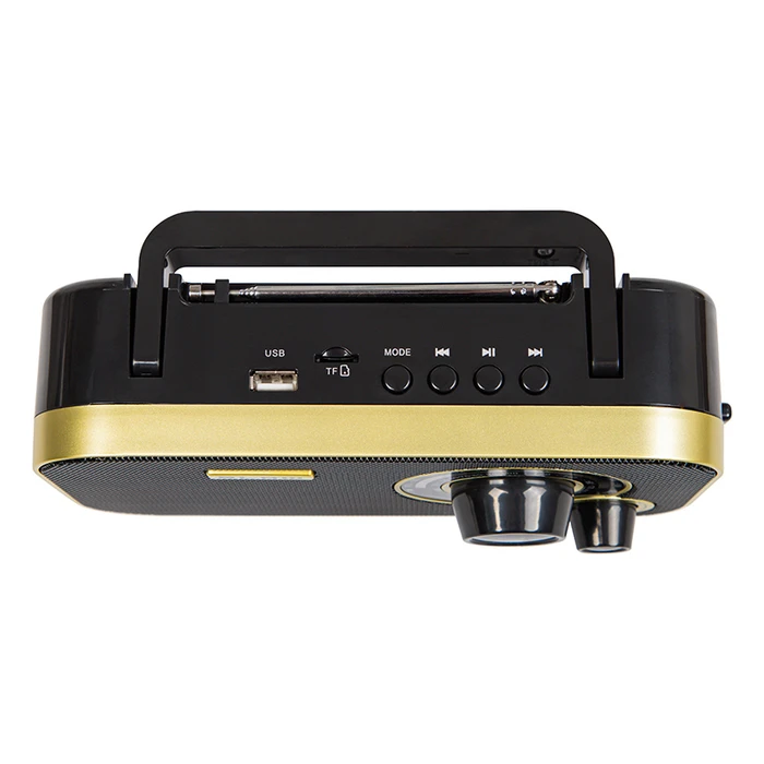 Portable Analog AM/FM Radio BLOW RA12 Black-Gold
