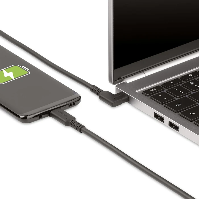 Καλώδιο USB-C StarTech RUSB31CC1MBR Μαύρο 1 m