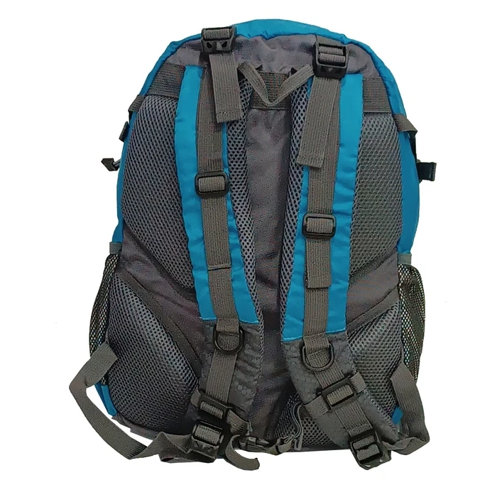 Campus Active 25L Backpack Blue
