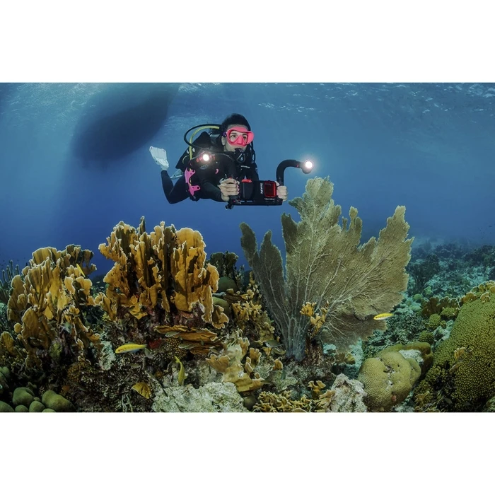 Sealife Flex Connect Flex Arm for Action Cameras (SL9901)