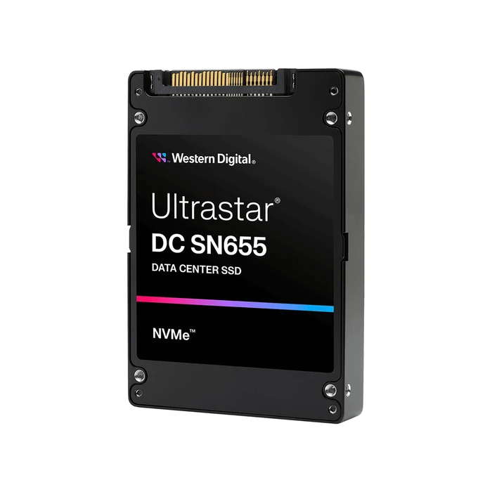 Σκληρός Δίσκος SSD Western Digital 0TS2462 3,84 TB